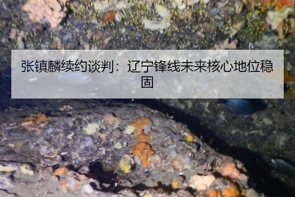 zhang-zhen-lin-xu-yue-tan-pan-liao-ning-feng-xian-wei-lai-he-xin-di-wei-wen-gu-2-732.jpg