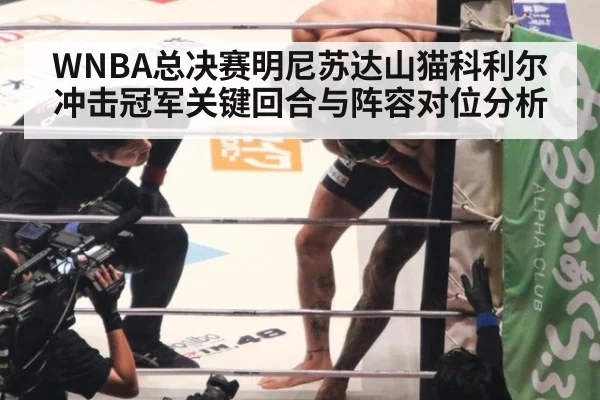 WNBA总决赛明尼苏达山猫科利尔冲击冠军关键回合与阵容对位分析