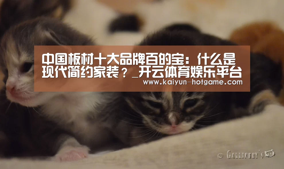 中国板材十大品牌百的宝：什么是现代简约家装？_开云体育娱乐平台