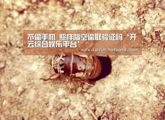
不偷手机 照样隔空偷取验证码‘开云综合娱乐平台’